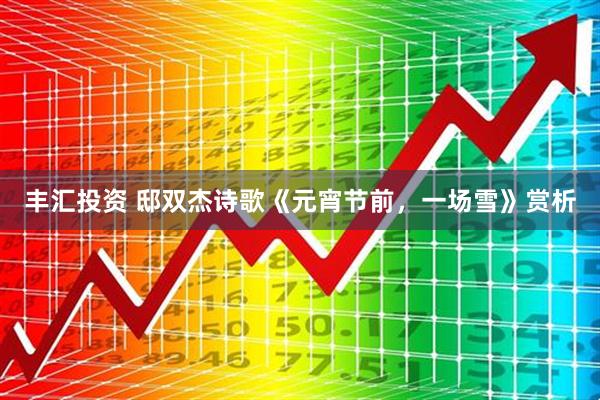 丰汇投资 邸双杰诗歌《元宵节前，一场雪》赏析