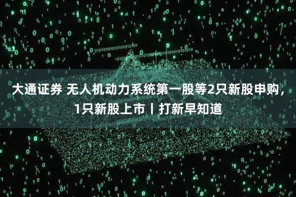 大通证券 无人机动力系统第一股等2只新股申购，1只新股上市丨打新早知道